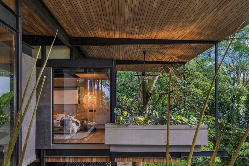 Covered terrace with timber ceiling and planted bed framed by bamboo stalks and forest beyond