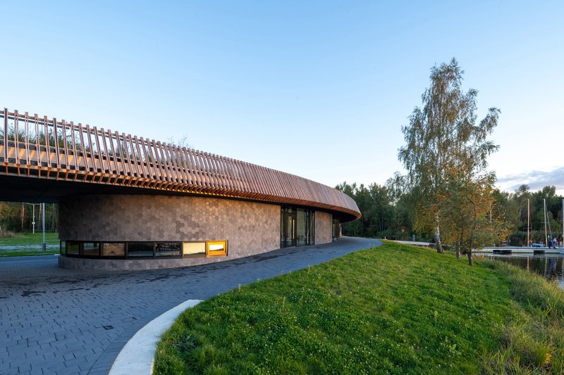 Exterior elevation showing the curving timber roof and concrete base beside birch trees at dusk