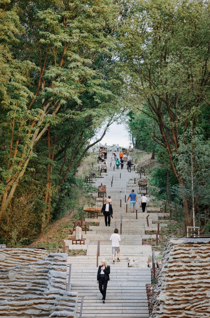 Long timber staircase rising through tree-framed clearing with visitors scattered along the steps