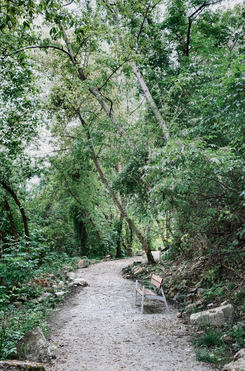 Gravel path with wooden bench alongside trees and scattered boulders in dappled shade