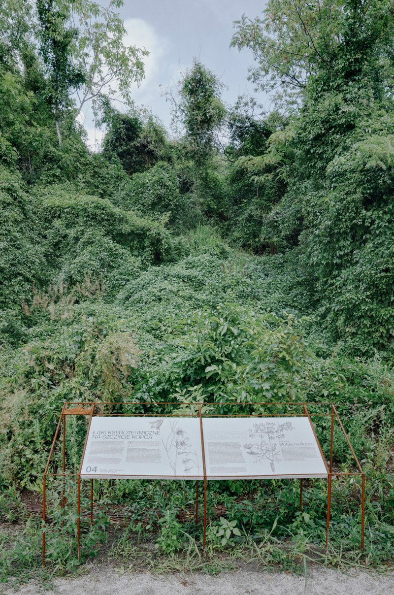 Interpretive signage panel on metal frame standing before dense vegetation and hillside overgrowth