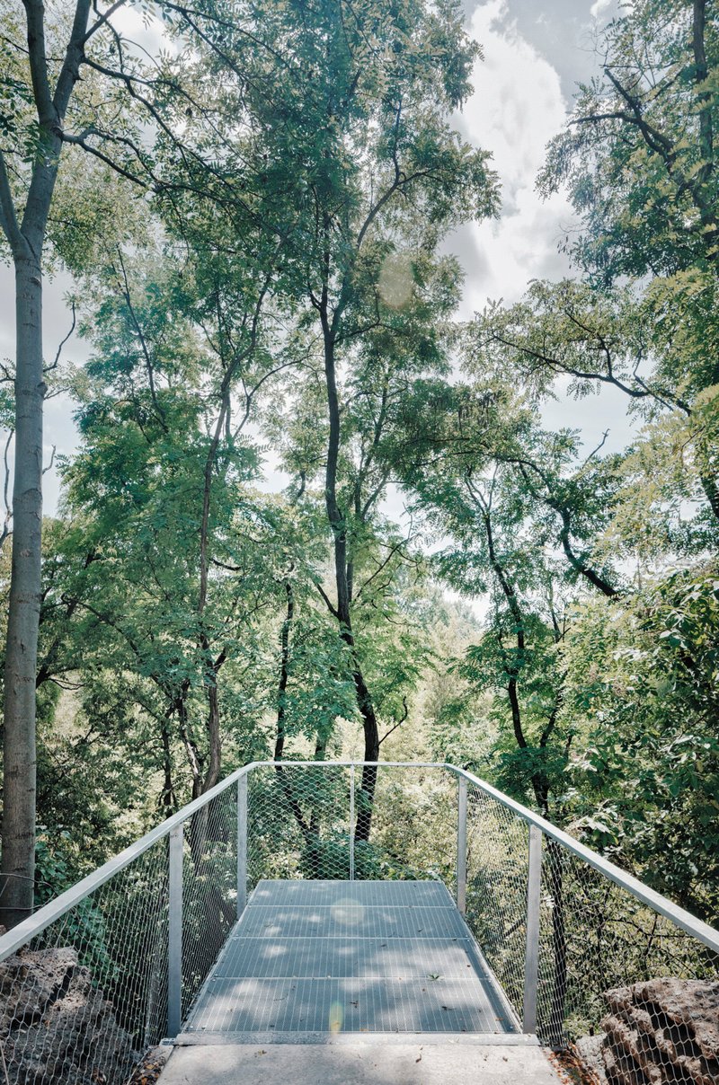 Steel footbridge with mesh railings extending into dense woodland under dappled afternoon light