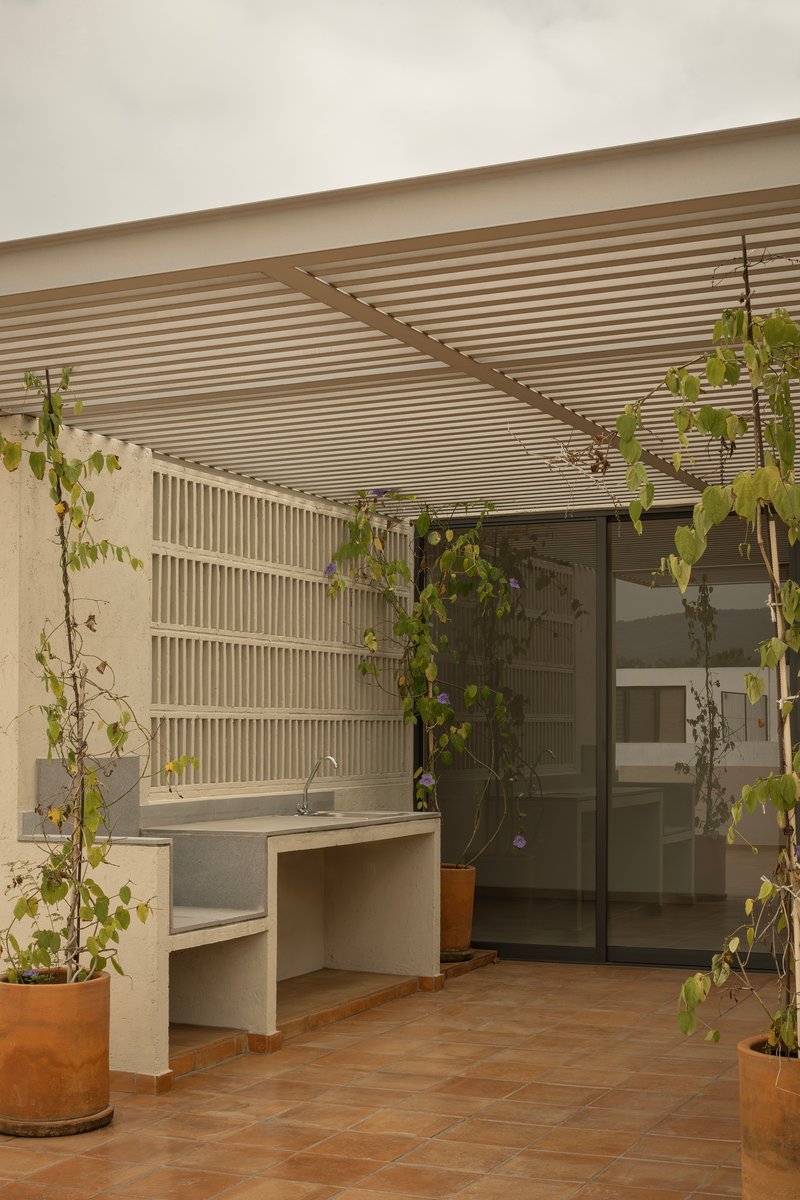 Covered terrace with slatted timber ceiling, concrete countertop and climbing vines in terracotta pots