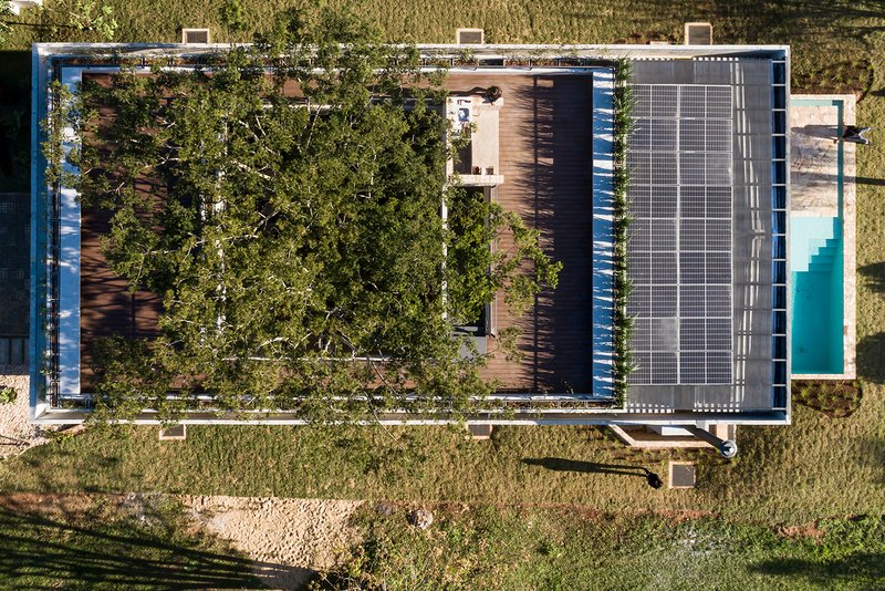 Top-down view of the planted roof terrace with timber decking and adjacent solar panel grid