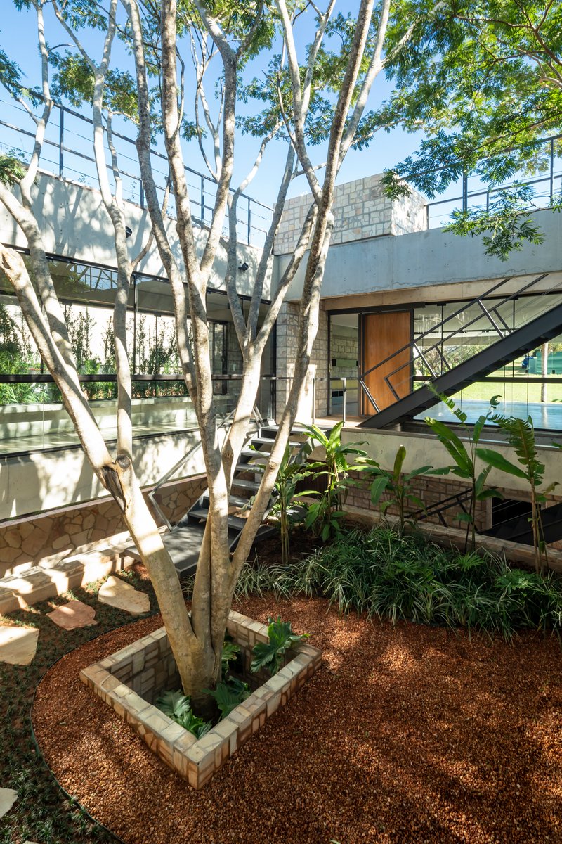 Courtyard with white-barked trees planted in stone beds beneath glazed bridges and diagonal steel bracing