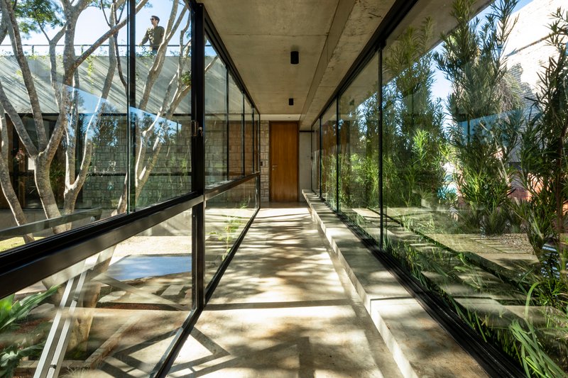 Glass-walled corridor with concrete soffit and dappled sunlight filtering through adjacent planted courtyard
