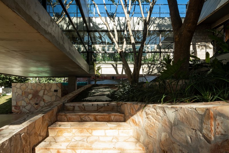 Stone staircase descending through courtyard with steel and glass pergola overhead and tree trunks filtering light