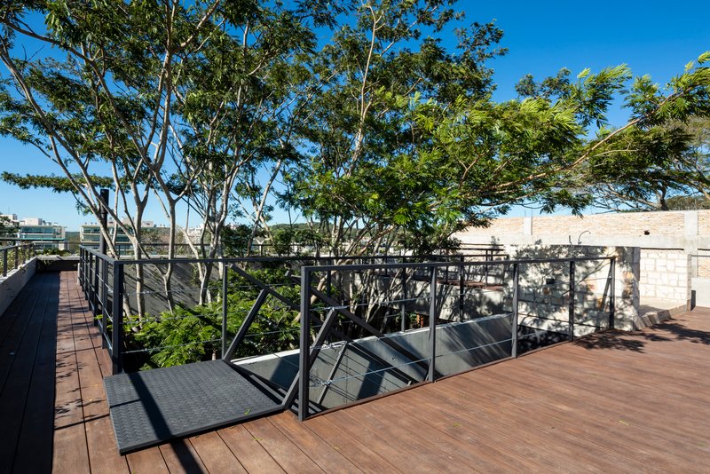 Timber deck with steel railing and skylight opening surrounded by mature trees under clear blue sky