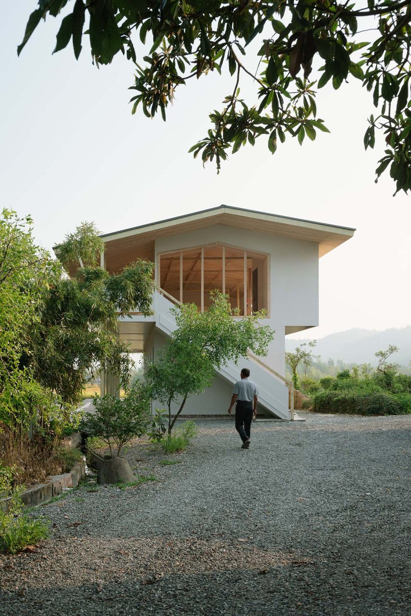 Gravel entry path leading to an elevated timber-framed volume beneath overhanging tree branches