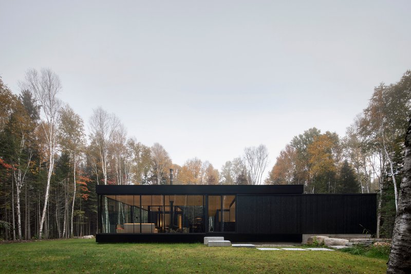 Black timber-clad residence with floor-to-ceiling glazing facing a lawn clearing surrounded by birch trees in autumn