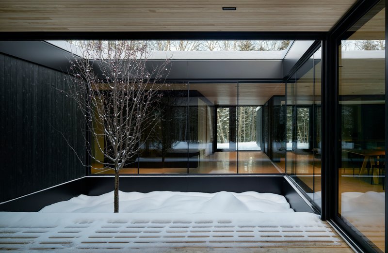 Courtyard with gridded timber deck dusted with snow and bare tree against charred wood walls