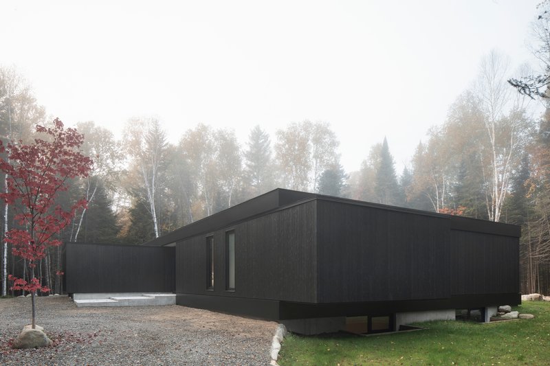 Dark timber cladding and vertical window slots beside a gravel drive in fog