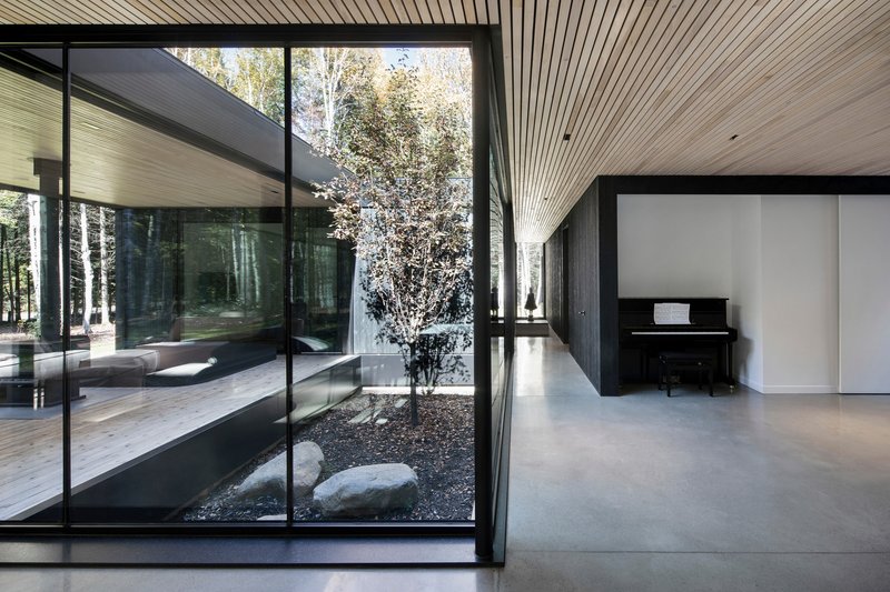 Interior corridor alongside glazed courtyard with planted birch tree and black gravel bed