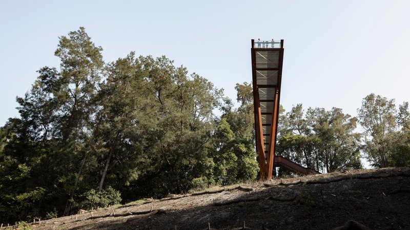 Tall weathered steel observation tower rising from a hilltop clearing surrounded by mature trees