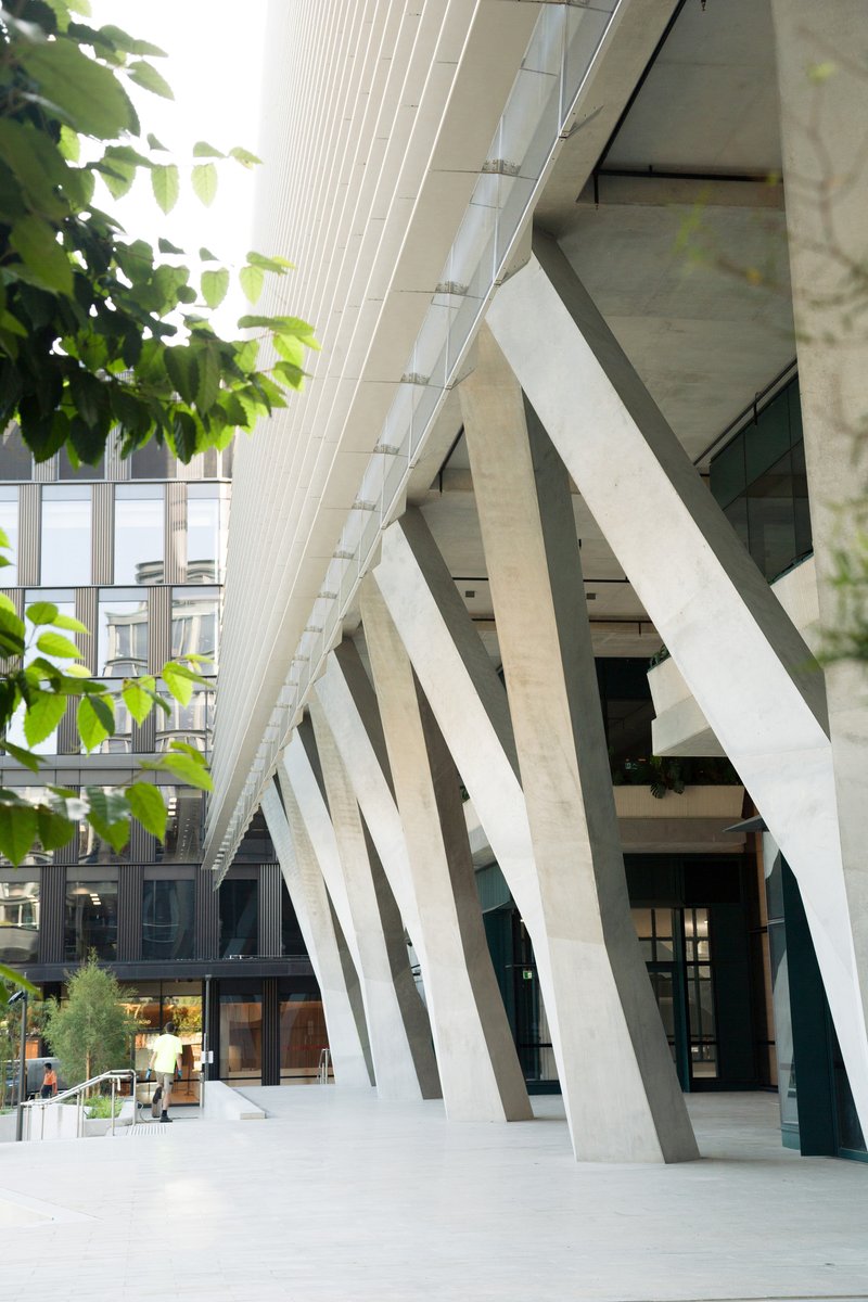 Angled white structural columns beneath glazed soffit with green foliage in foreground