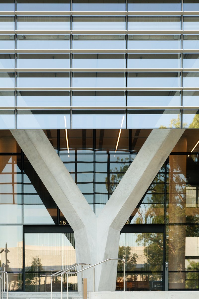 Branching concrete column supporting a cantilevered facade with horizontal sun shading louvers in afternoon light