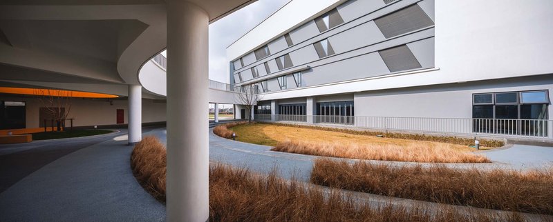 Courtyard view through white columns showing planted beds with dried grasses and horizontal facade beyond