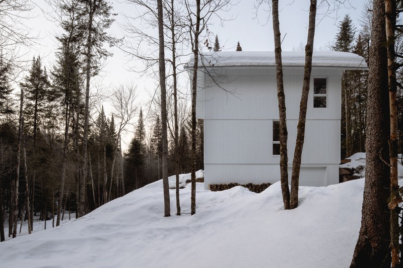 White vertical-panel facade with rectangular windows framed by birch and evergreen trees in snow