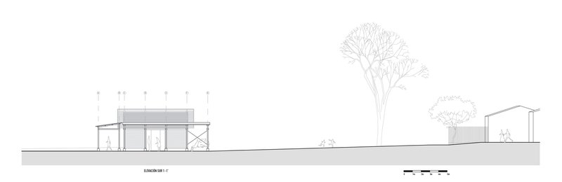 Elevation drawing showing a low pavilion with glazed walls and exposed cross-bracing beneath a tree