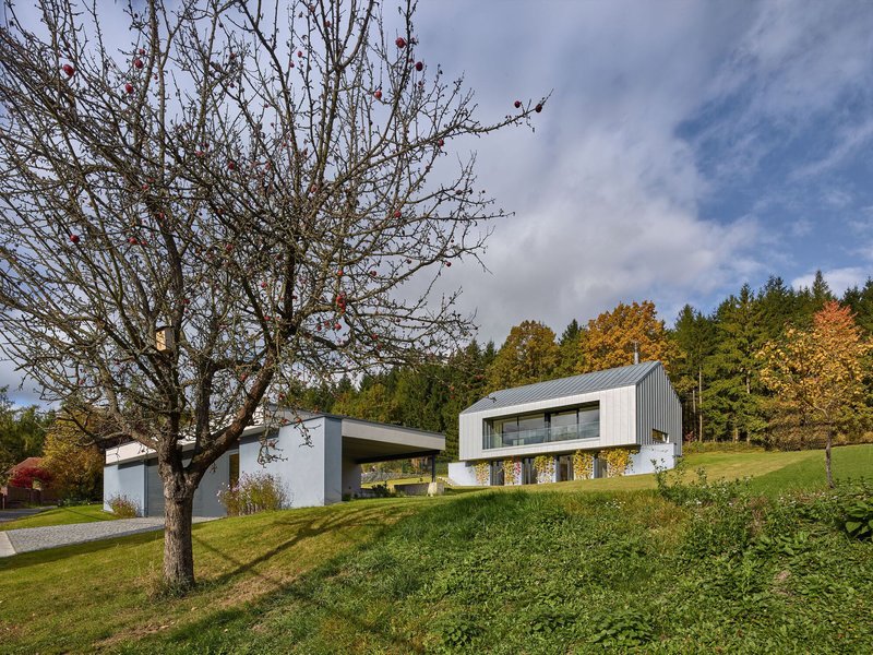 Split-level residence with white base and metal-clad upper volume on a grassy slope beside a bare tree