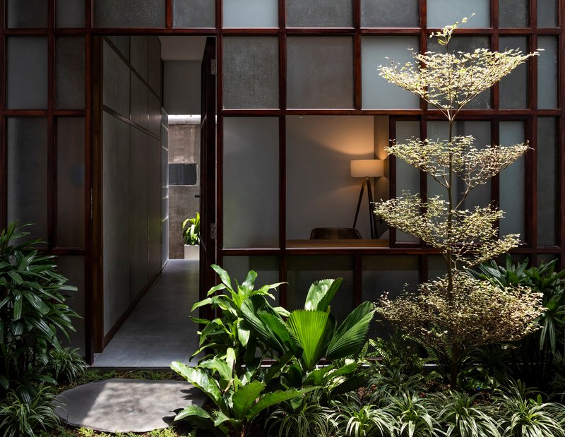 Interior courtyard with planted bed and tiered tree viewed through timber-framed glass partition at dusk