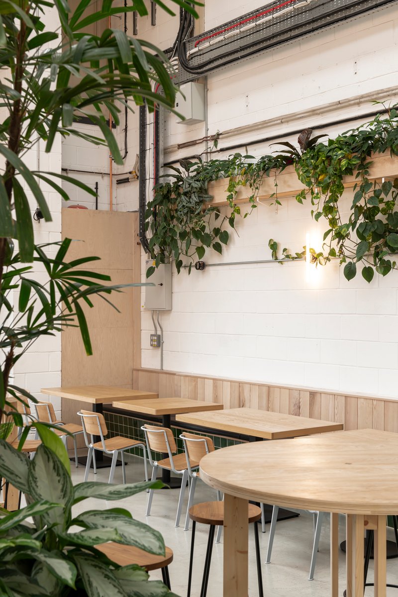 Corner seating nook with round timber tables and trailing plants mounted on white corrugated metal walls