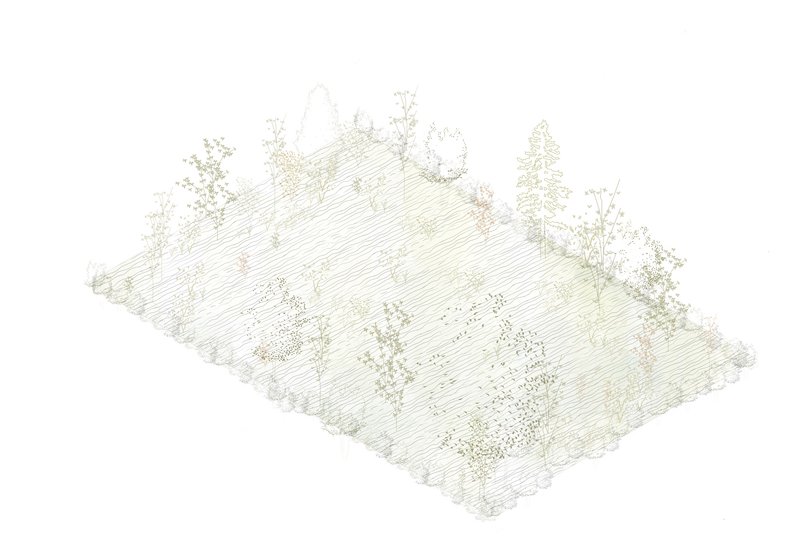 Isometric site drawing depicting the sloped terrain with scattered trees and vegetation clusters