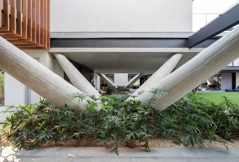 Crisscrossing concrete columns supporting an elevated volume above a planted bed with grasses