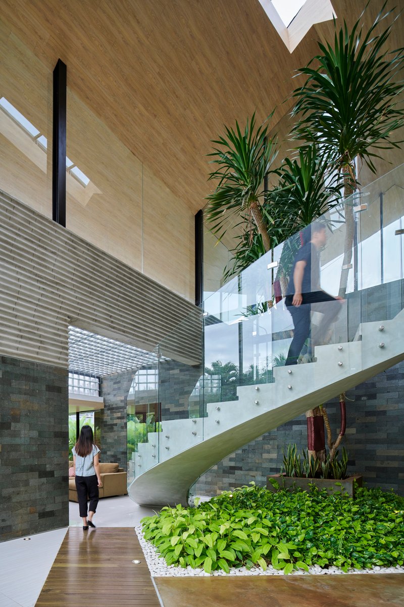 Curved white staircase with glass railings beside planted beds with hostas and palms under skylight