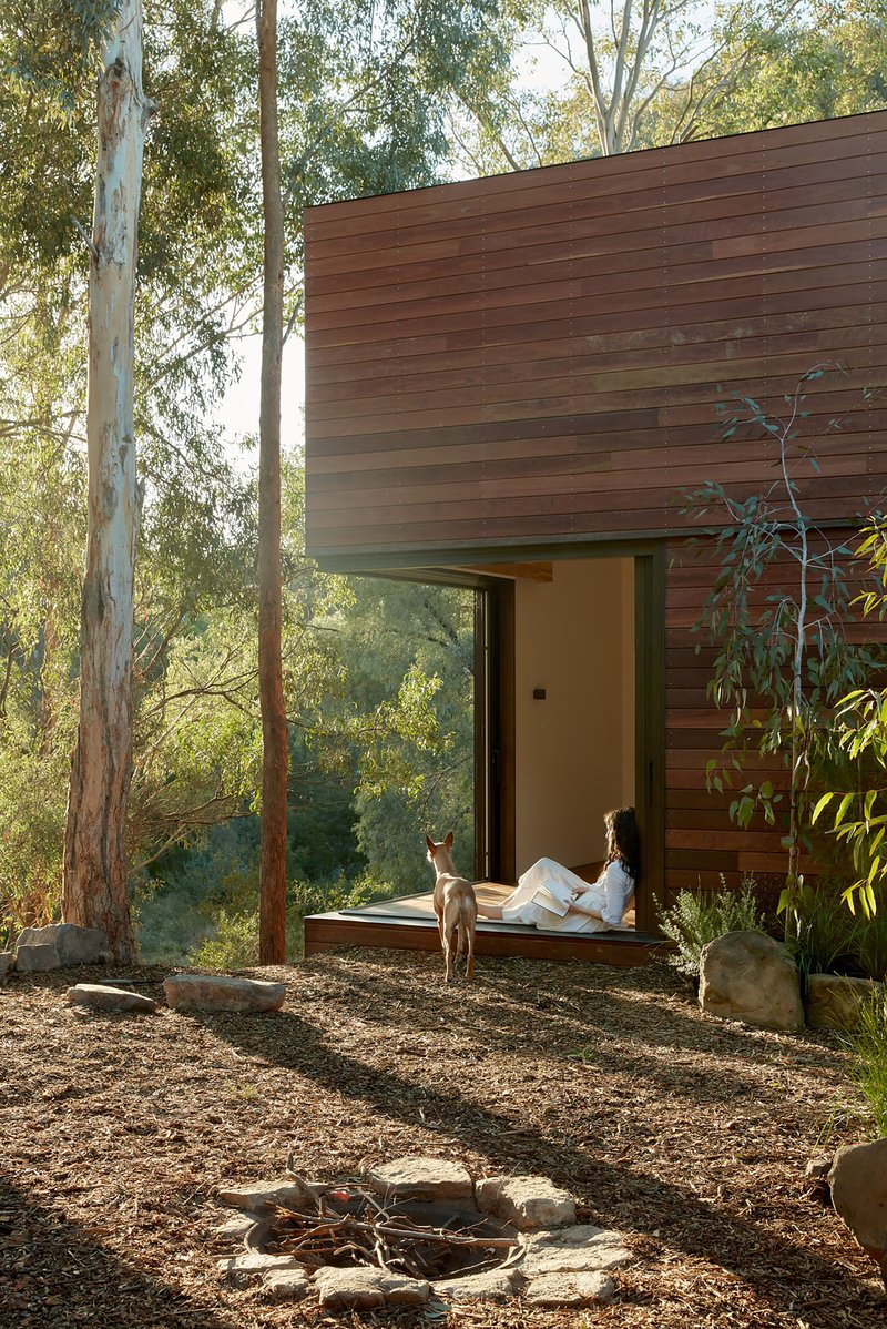 Cantilevered timber-clad volume with person seated in doorway framed by eucalyptus trees