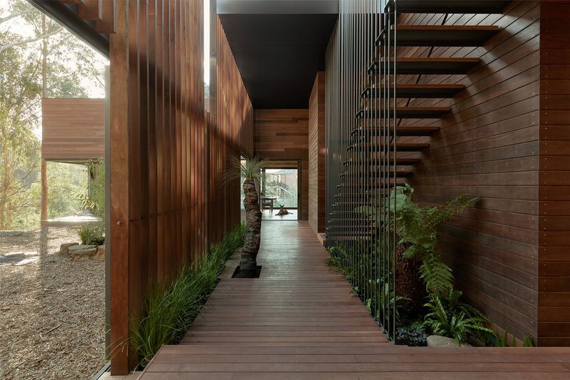 Timber-lined corridor with vertical slat screen, planted beds, and open staircase