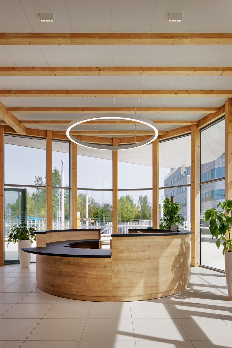 Curved timber reception desk beneath exposed wooden beams and a circular pendant light in bright daylight