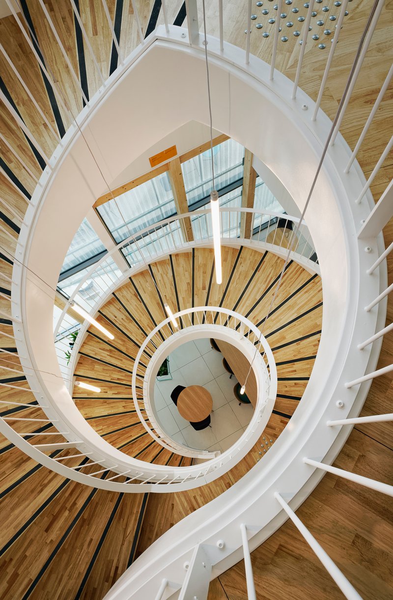Looking down the helical stairwell with alternating wood and white curved steps around a central void
