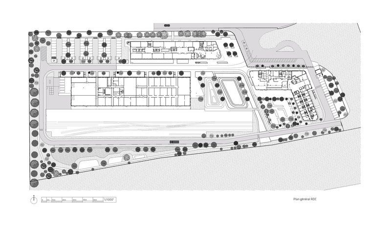 Site plan drawing showing rectangular volumes, curved water feature, and perimeter tree planting