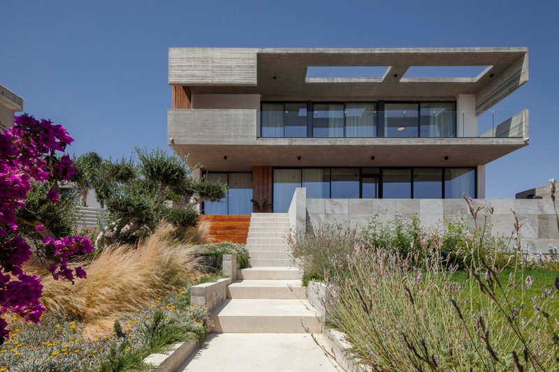 Concrete entry stairway ascending through planted beds with ornamental grasses and bougainvillea