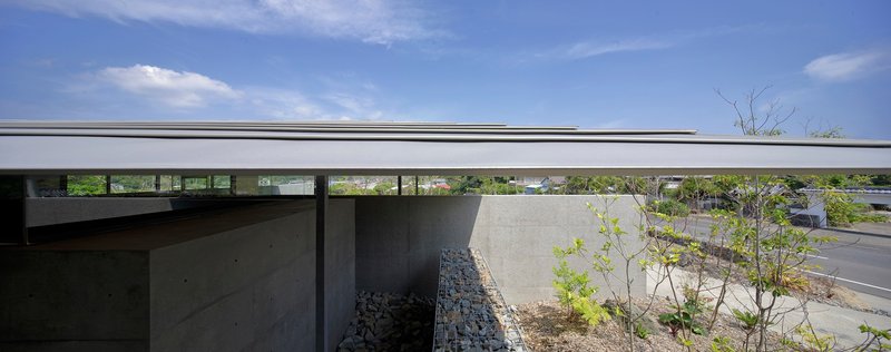 Low-profile flat roof extending over concrete walls and planted areas with young saplings in daylight