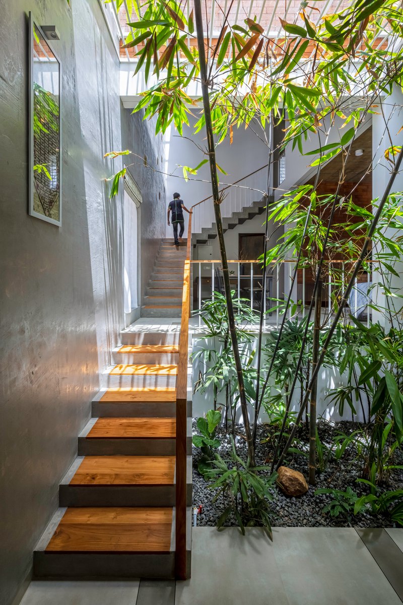 Concrete staircase with timber treads ascending past a bamboo grove in an interior courtyard garden