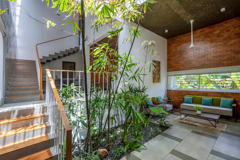 Interior living space with bamboo planting bed, concrete stair and dappled sunlight through overhead screening