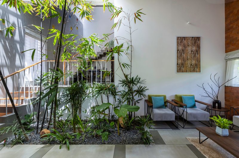 Living area with interior planted bed of bamboo and grasses beside a seating arrangement