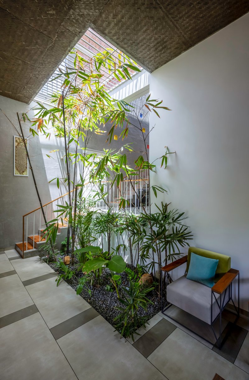 Double-height interior courtyard with bamboo grove and skylight above the stair void