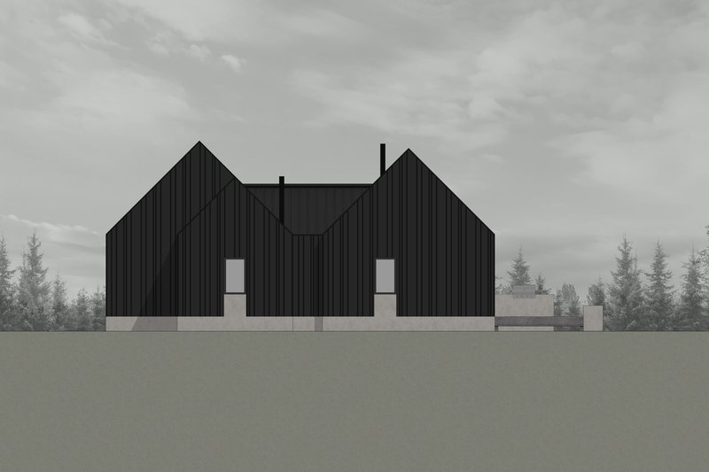 Elevation drawing showing twin gabled volumes clad in vertical panels under an overcast sky