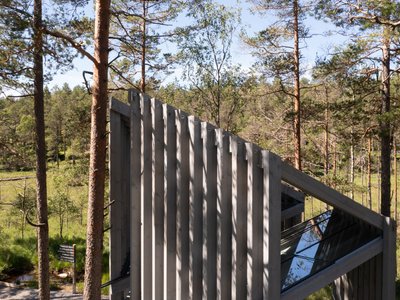 Liljewall Plants a Hexagonal Timber Pavilion in Sweden's Largest Uninhabited Wilderness