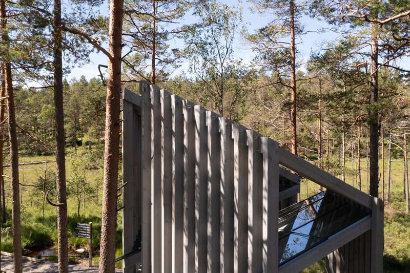 Liljewall Plants a Hexagonal Timber Pavilion in Sweden's Largest Uninhabited Wilderness