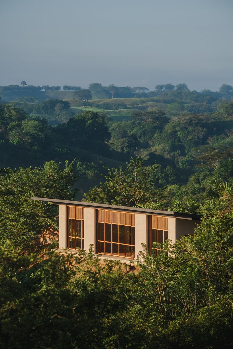 Elevated view of the pavilion with glazed facade nestled among dense hillside vegetation under morning light