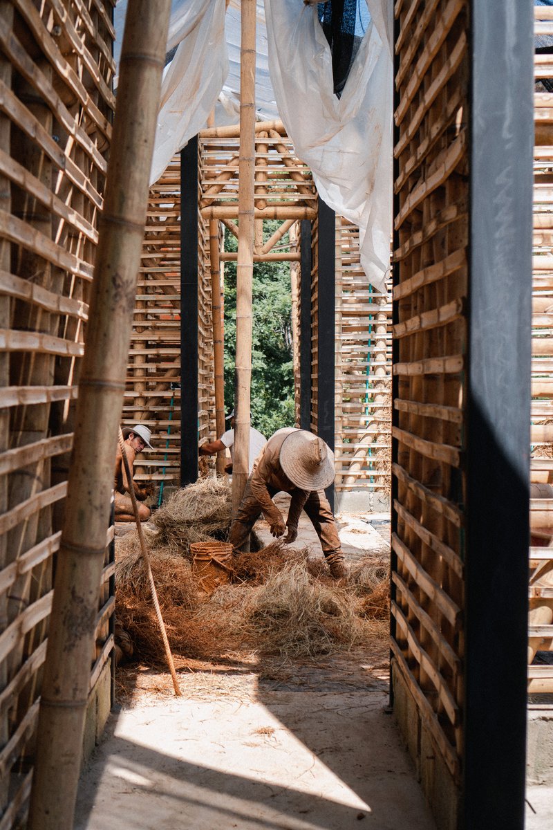 Worker in straw hat applying earthen material between bamboo slat walls with sunlight filtering through