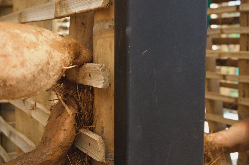 Detail of timber post and steel column junction with wood dowels and bark insulation visible