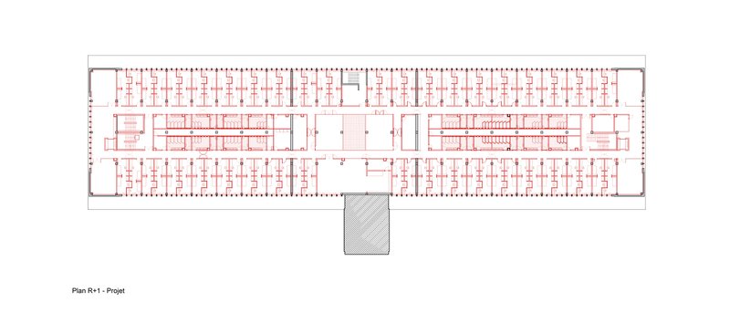 Floor plan showing central circulation spaces flanked by repetitive cellular rooms in red linework