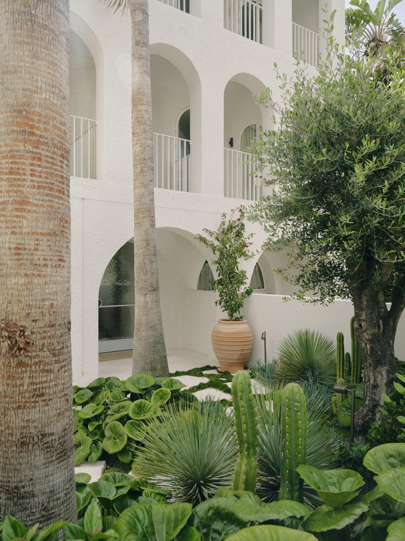 Planted courtyard with palms, cacti and tropical foliage beneath the arcaded white facade