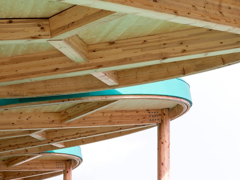 Underside of two circular timber canopies with exposed radial beams and teal fascia bands