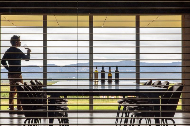 Horizontal louvered screen with a visitor silhouetted against the vineyard and mountain view beyond